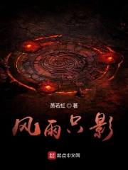风雨只影