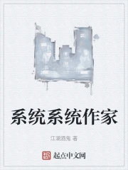 系统系统作家